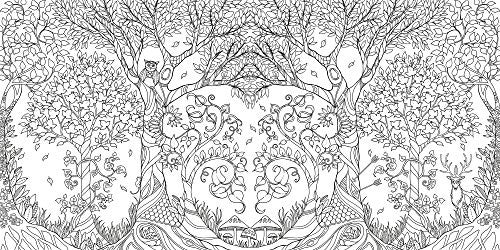 Enchanted Forest: An Inky Quest & Coloring Book on Sale