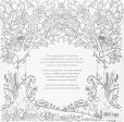 Enchanted Forest: An Inky Quest & Coloring Book on Sale